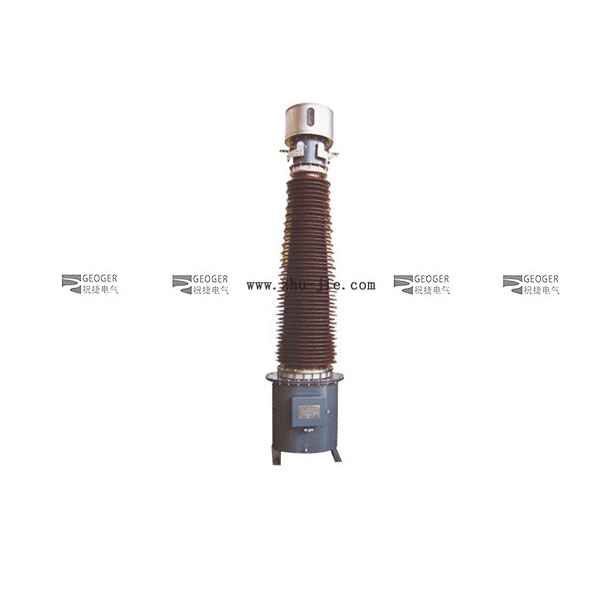 LB7-220(W1)油浸式电流互感器